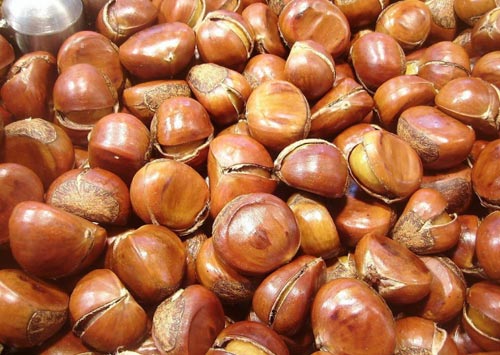 cách chọn hạt dẻ ngon - hình minh họa 2