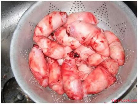 Hành trình vị giác - hình minh họa 5
