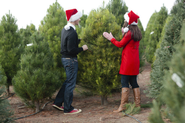 savethedateidea đám cưới mùa Giáng sinh