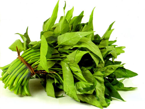 thực phẩm chống lão hóa - hình minh họa 5