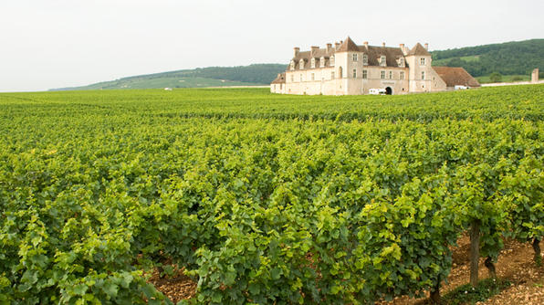 du lịch Burgundy - hình minh họa 4
