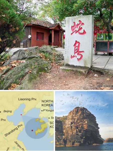 hòn đảo rắn - hình minh họa 7