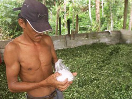 du lịch mạo hiểm - hình minh họa 5