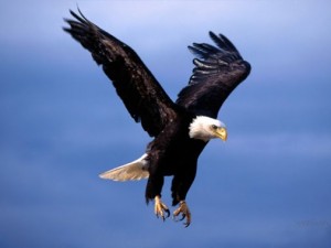 bai hoc tu dai bang