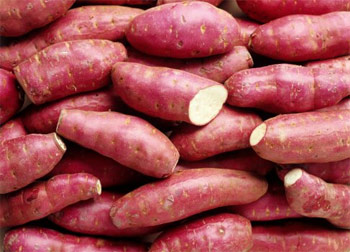 tác dụng của khoai lang - hình minh họa 2