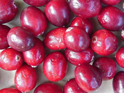 5 loại quả tốt cho bà bầu 2 trái cây tốt cho bà bầu - hình minh họa 2