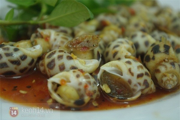 Cà Ri Cua Ốc Thảo - hình minh họa 5