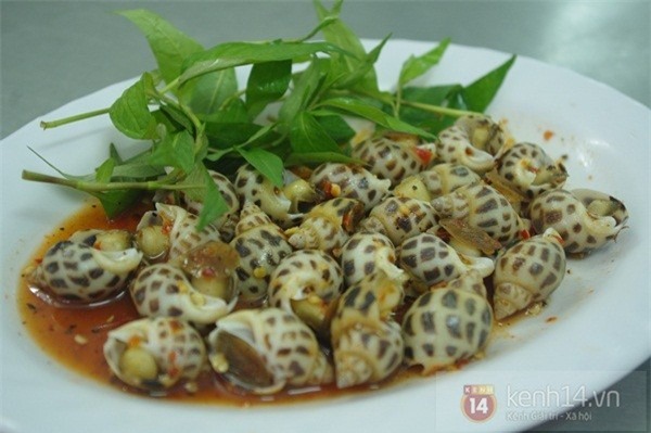 Cà Ri Cua Ốc Thảo - hình minh họa 2