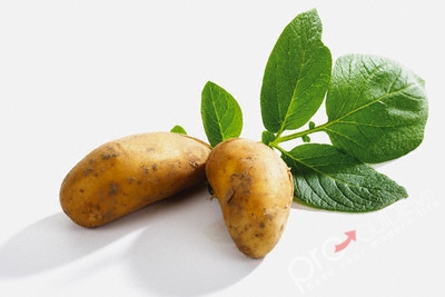 Thực Phẩm Nên Tránh Khi Dạ Dày Đói