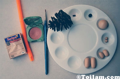 làm nhím từ quả thông