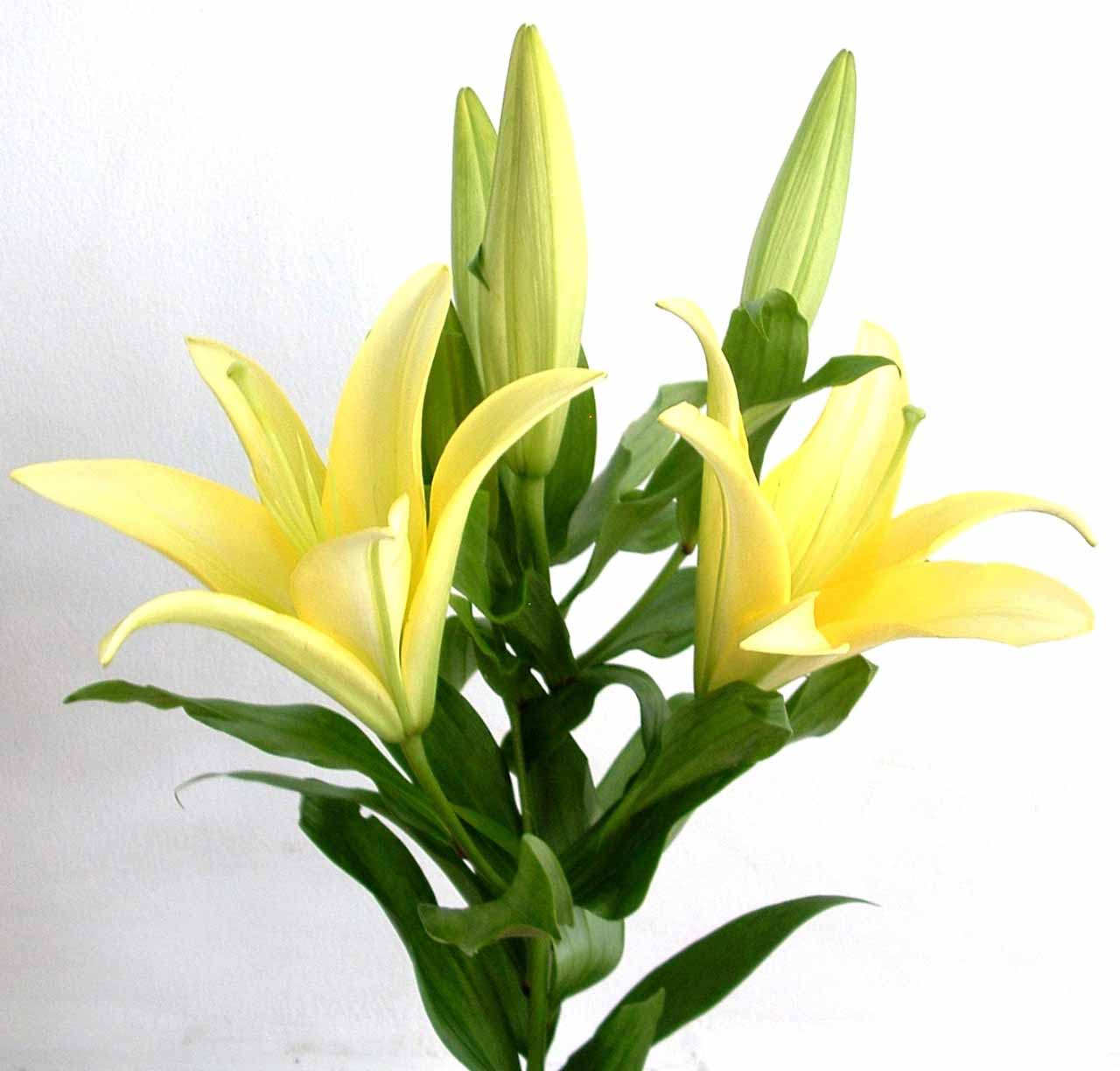 hòa hợp mẹ chồng nàng dâu