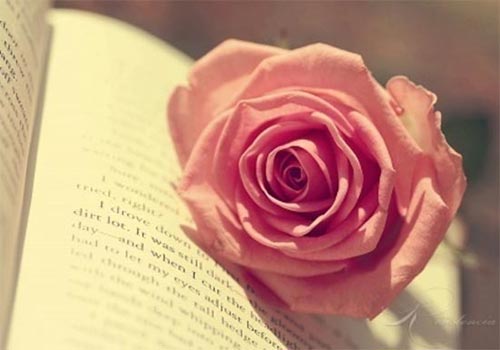 Góc nhìn sâu sắc về