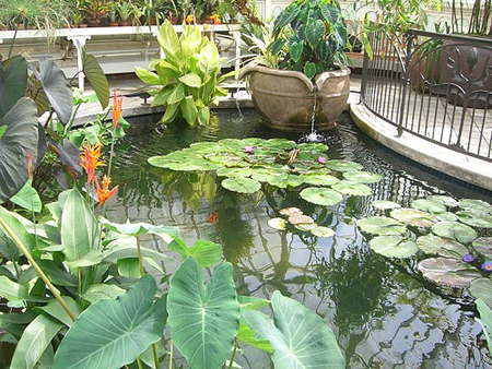 chống nóng cho nhà cửa - hình minh họa 2