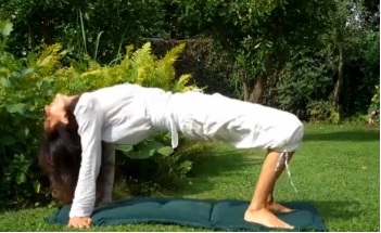 Yoga: Bí Quyết Níu Giữ Thanh Xuân - hình minh họa 5