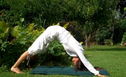 Yoga: Bí Quyết Níu Giữ Thanh Xuân - hình minh họa 6