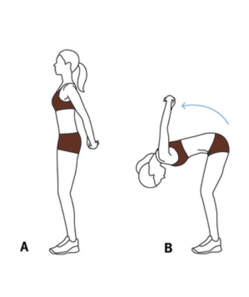 Nghệ Thuật Kéo Dãn Buổi Sáng - hình minh họa 3