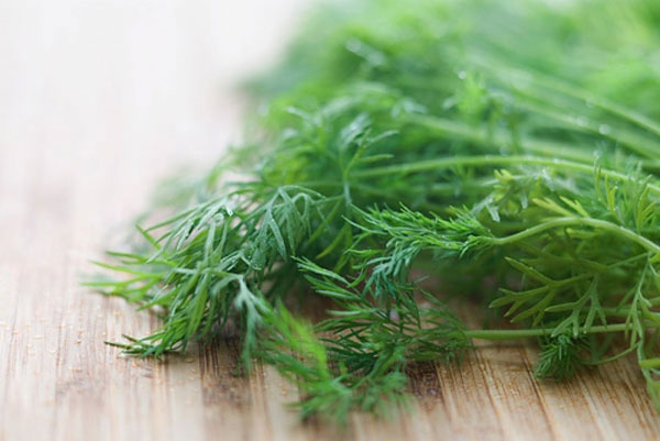 Bí Quyết Dinh Dưỡng Và Đông Y