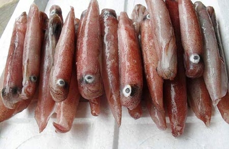 Bí Quyết Vàng Để Mực Trứng Luôn Tươi Ngon