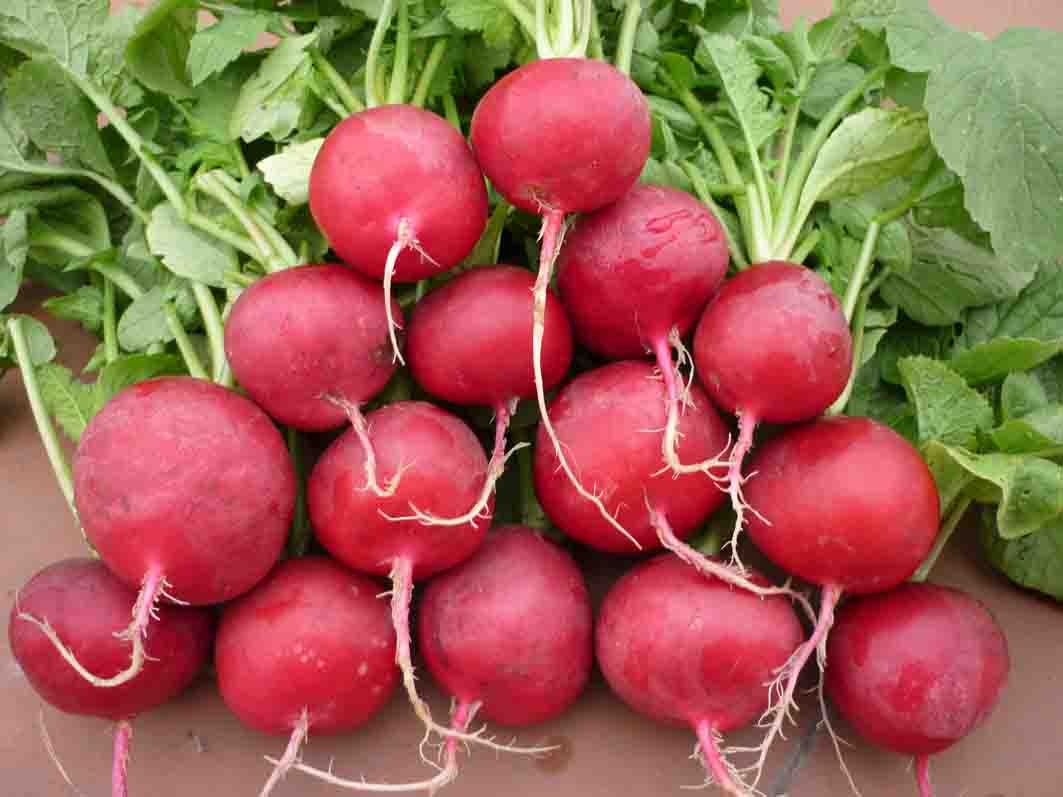 thực phẩm chống viêm - hình minh họa 4