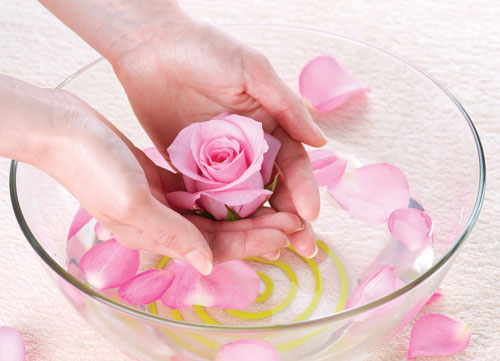 Bí quyết dưỡng da rạng rỡ từ hoa hồng