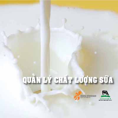 thực phẩm tốt cho xương