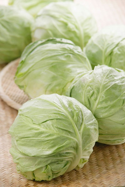 Dưỡng Chất Vàng Cho Sức
