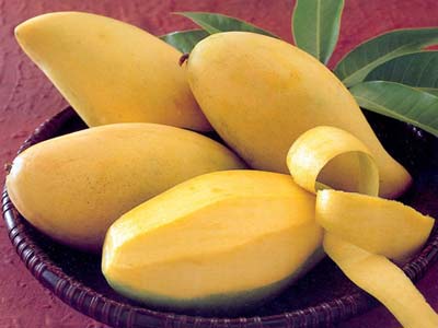 thực phẩm tăng cường sinh lý nam - hình minh họa 3