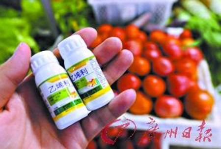 Về thuốc thúc rau quả chín của Trung Quốc Bí Quyết Nhận Biết Và Lựa Chọn