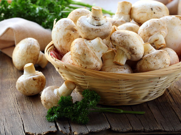 Mùa Hè Tươi Mát, Cơ Thể Khỏe Khoắn - hình minh họa 5