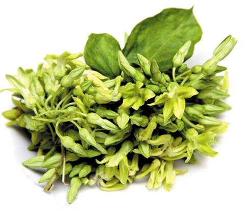 Lợi ích sức khỏe từ các loại hoa 7 Sức Mạnh Chữa Lành Từ Những Cánh Hoa - hình minh họa 7