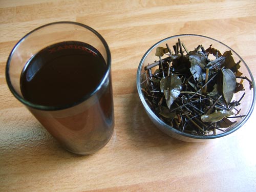 Cách uống đúng các loại trà mát gan3
