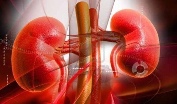 Bí quyết giúp thận khỏe mạnh hơn trong năm mới 1 Bí quyết giúp thận khỏe mạnh hơn trong năm mới 1
