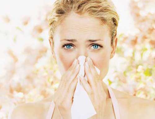 Bí Quyết Giữ Sức Khỏe Gia Đình