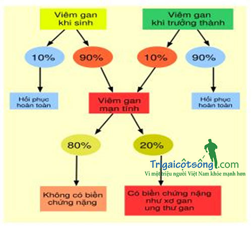 cách điều trị viêm gan b phòng ngừa và điều trị viêm gan B - hình minh họa 2